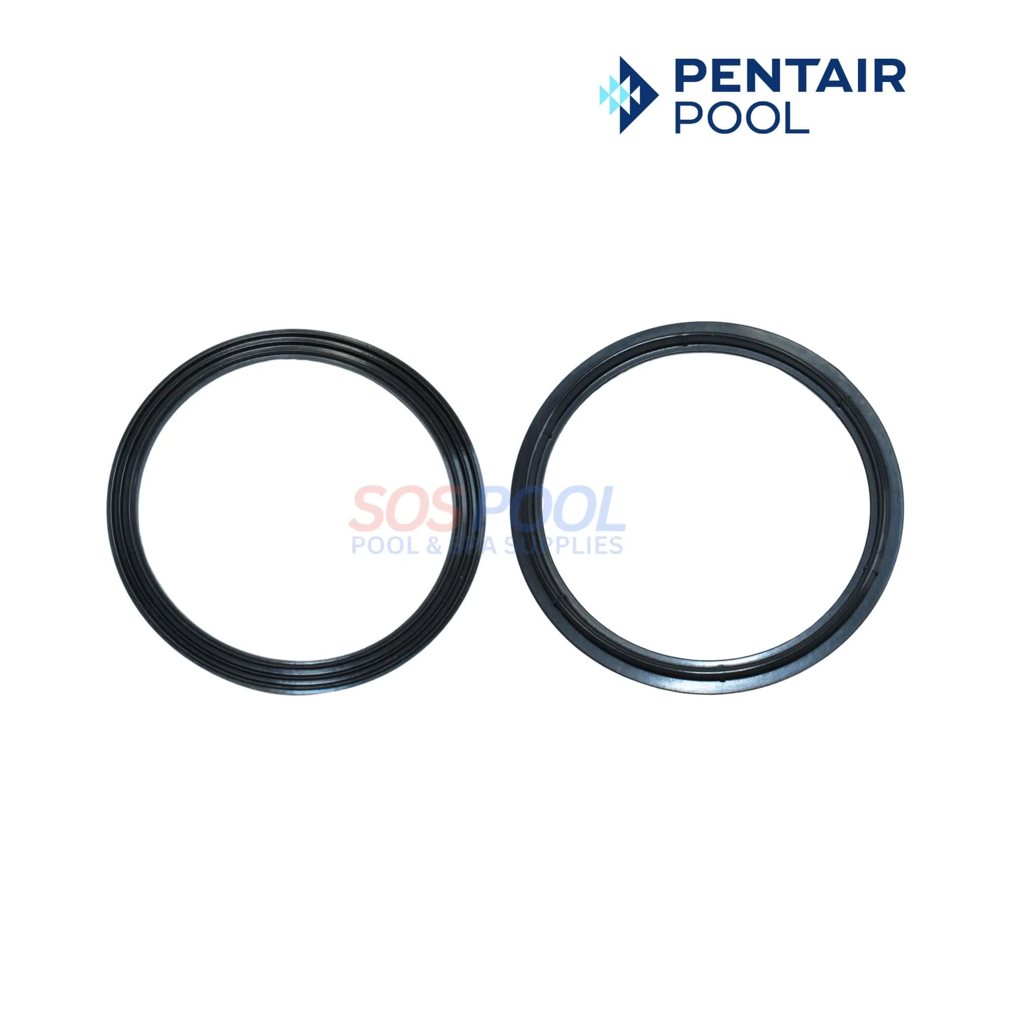 Pentair Union Diamond Seal Gasket For WhisperFloXF And IntelliFloXF Pumps | 2 Pack | 410016Z