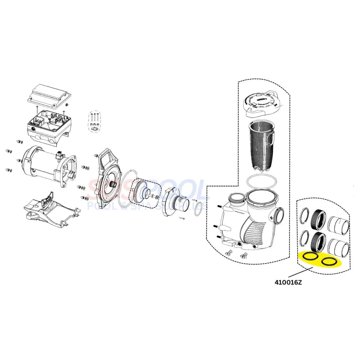 Pentair Union Diamond Seal Gasket For WhisperFloXF And IntelliFloXF Pumps | 2 Pack | 410016Z
