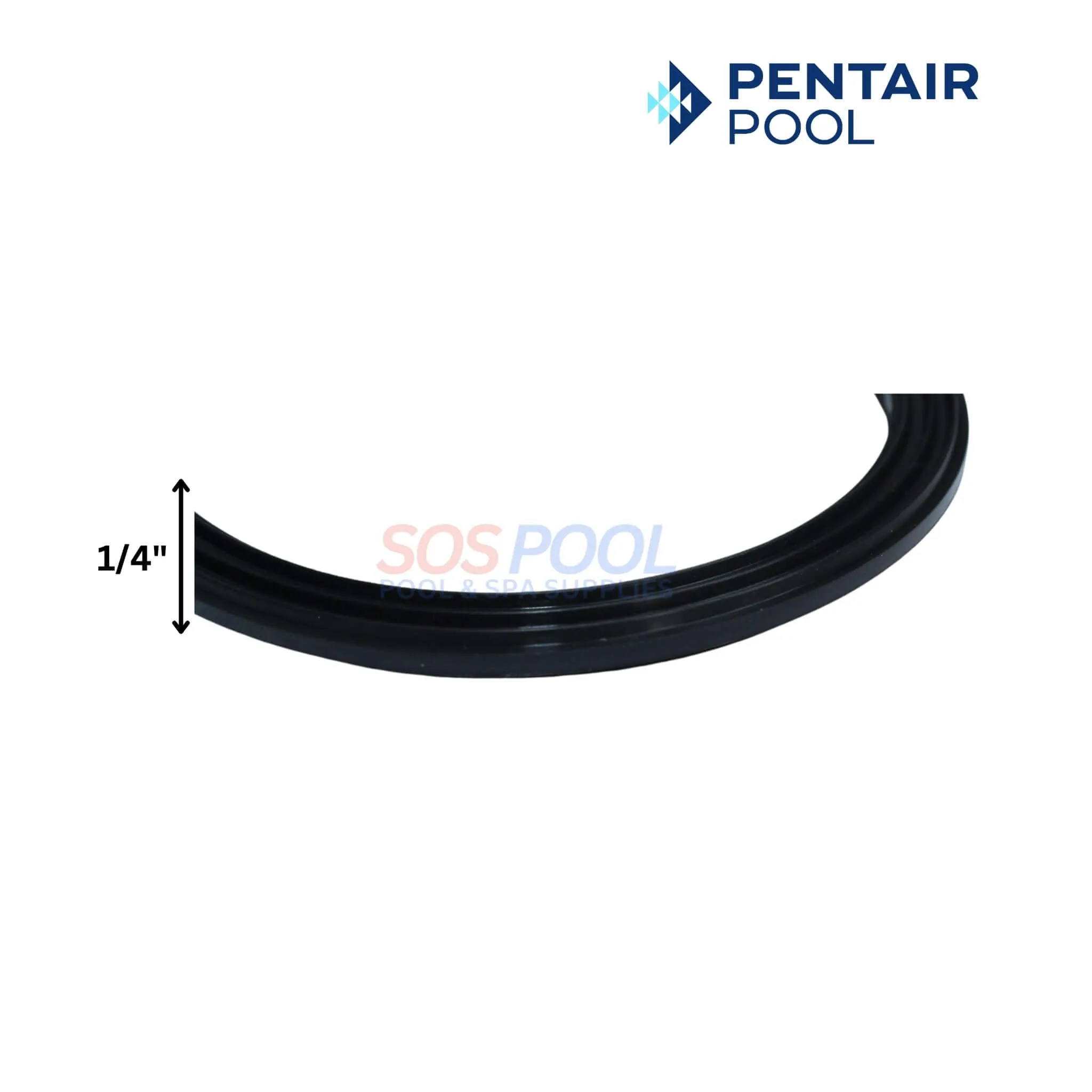 Pentair Union Diamond Seal Gasket For WhisperFloXF And IntelliFloXF Pumps | 2 Pack | 410016Z