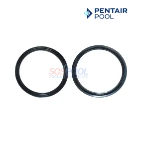 Pentair Union Diamond Seal Gasket For WhisperFloXF And IntelliFloXF Pumps | 2 Pack | 410016Z